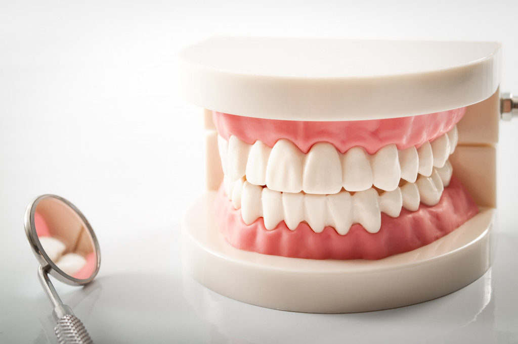 dental model