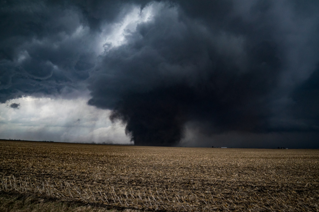 stormy weather in grass field