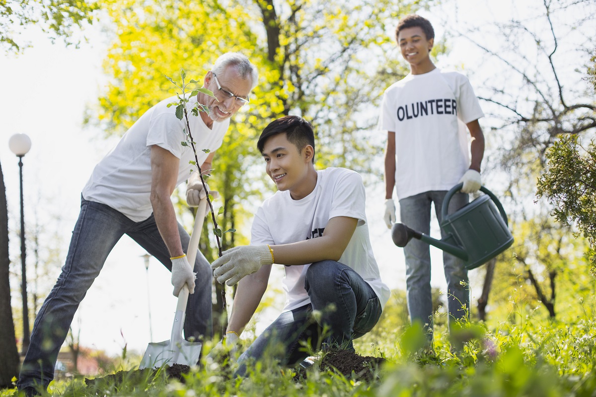 Community engagement through a tree planting activity.